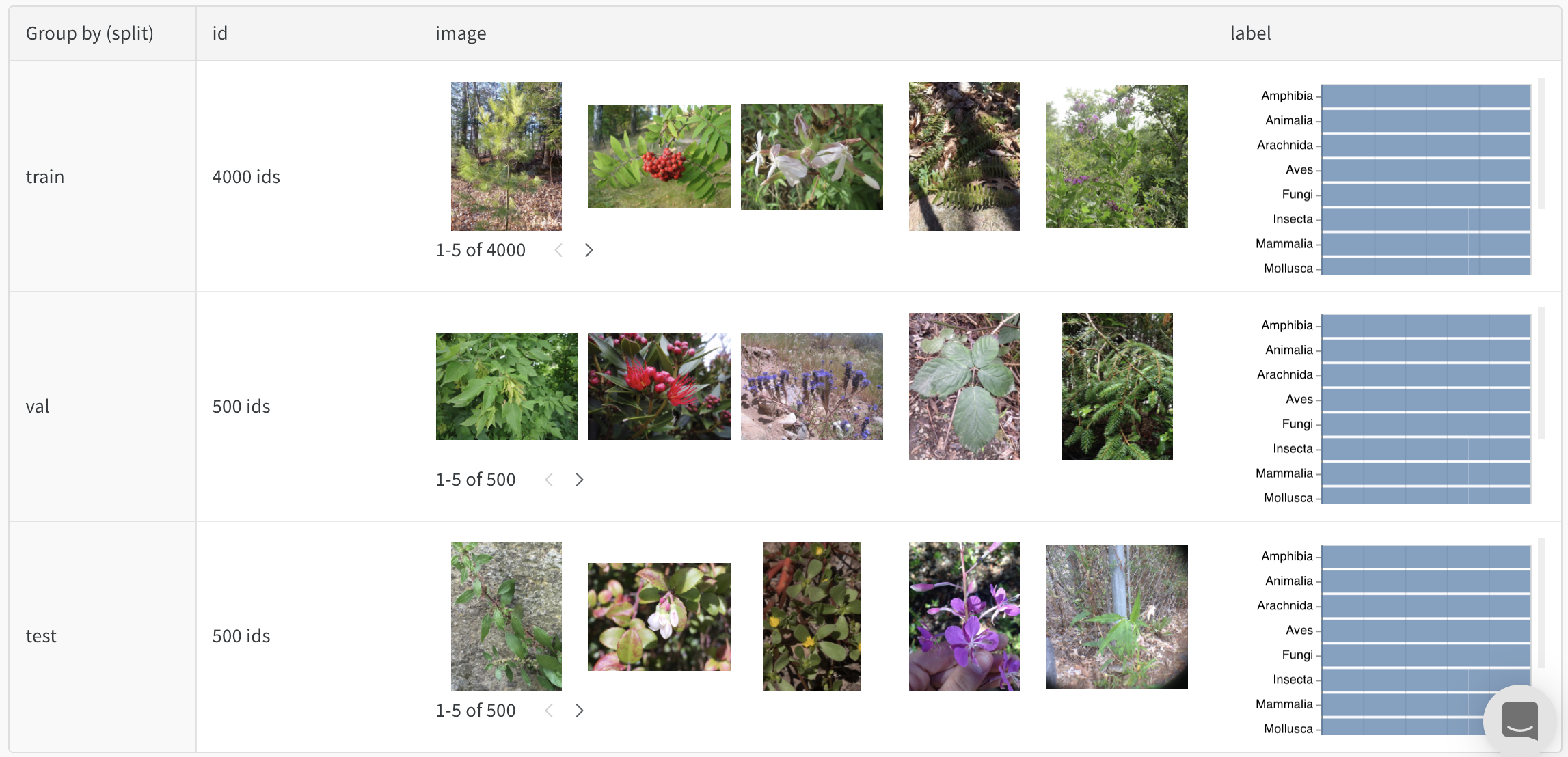 데이터 예제를 찾아보고 개수와 분포를 확인하세요.