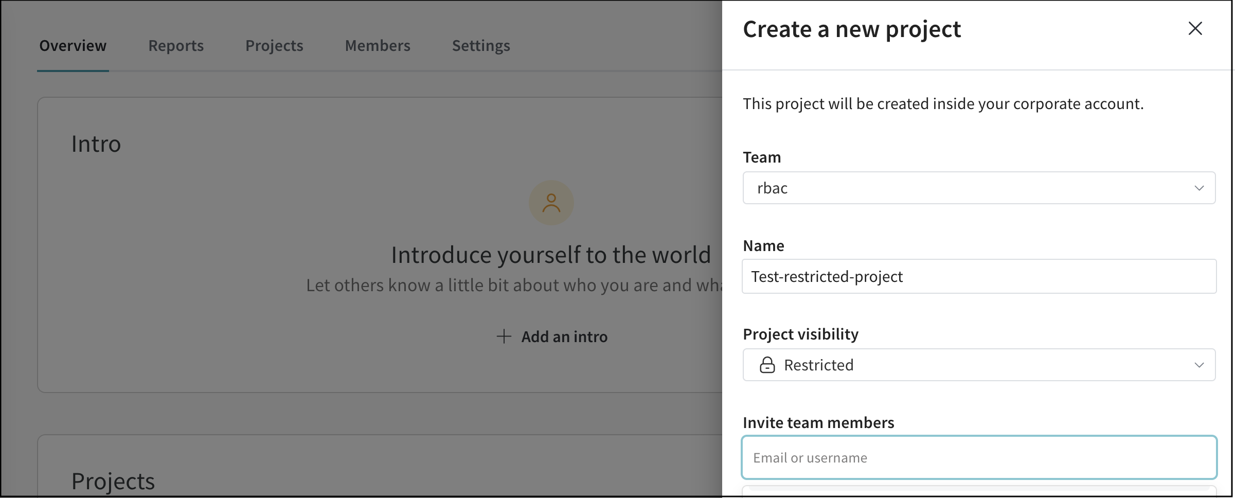 Restricted project configuration
