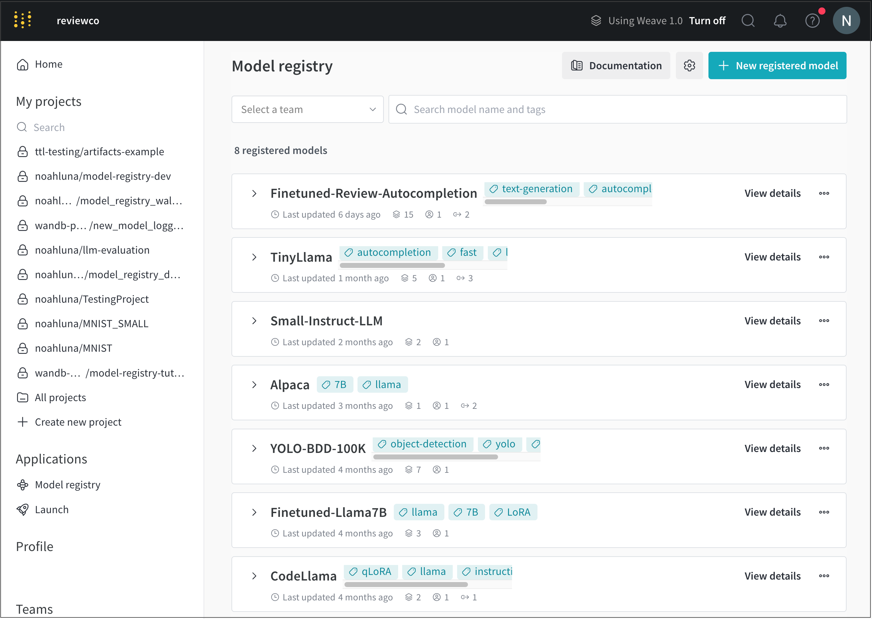 Model Registry view details
